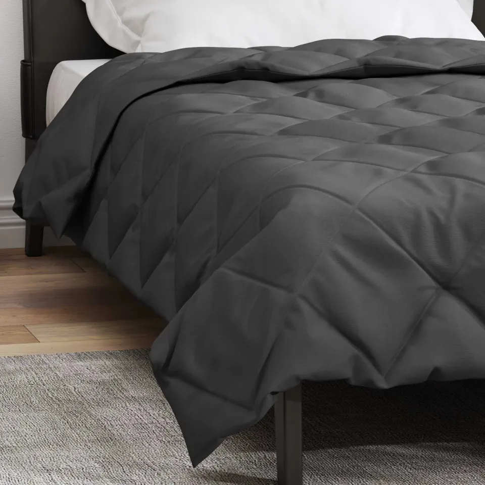 vidaXL Zomer Dekbed 220 x 155 cm 200 gsm Microvezel Antraciet, foto 4