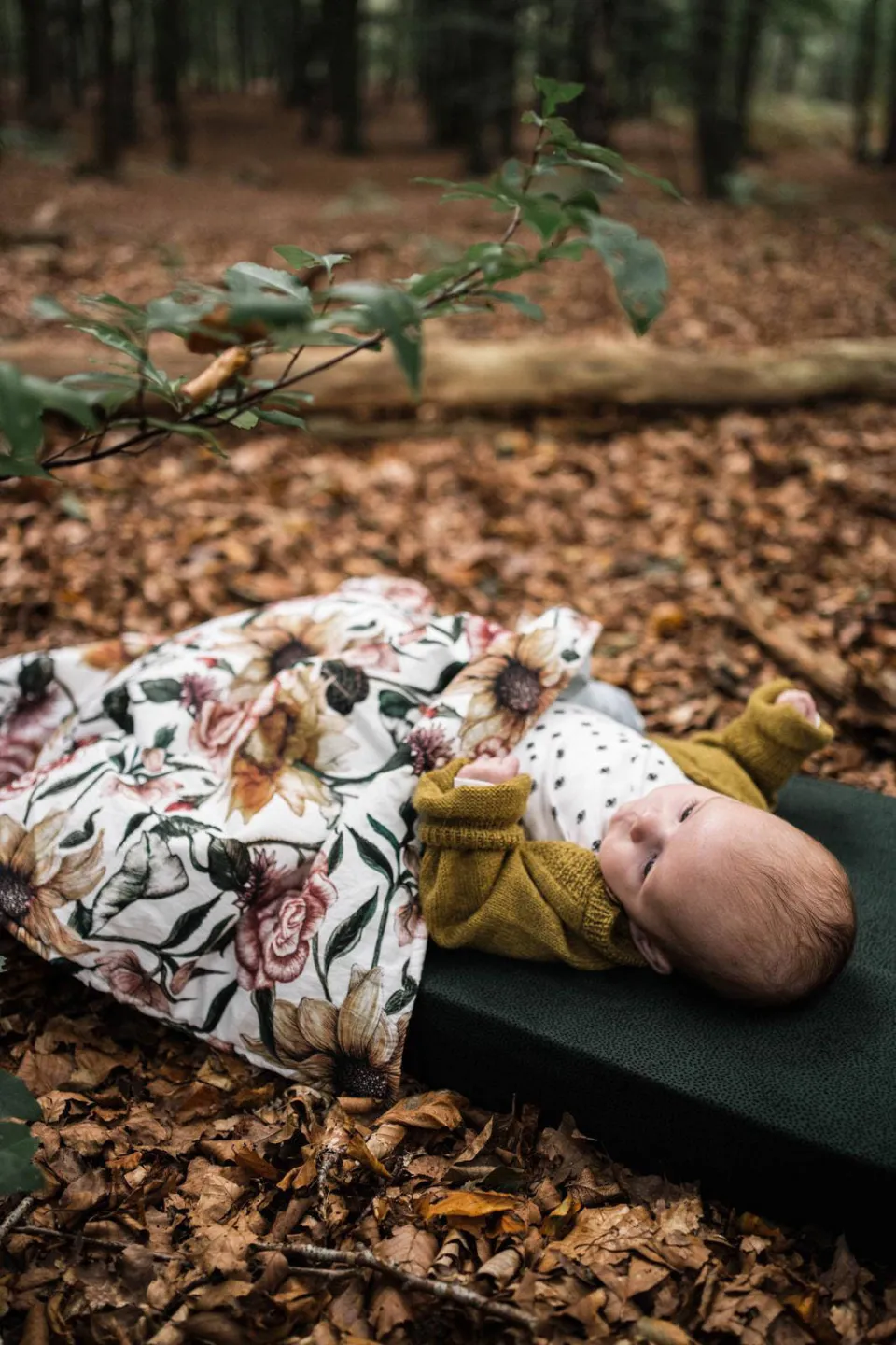 WildWood katoenen baby ledikant hoeslaken 70x140 cm Pine Dots, foto 4