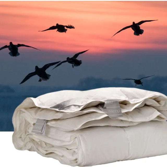 iSleep Donzen 4-Seizoenen Dekbed - 60% Dons - Eendendons en Eendenveren - Litsjumeaux - 240x220 cm Wit