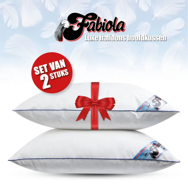 Fabiola Zacht Halfdons Hoofdkussen - Set van 2 stuks - DownPass gecertificeerde Dons & Veren - Ergonomisch - 60x70cm wit