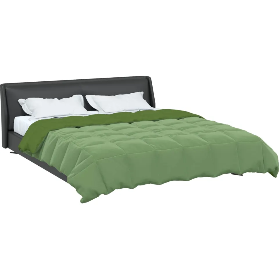 vidaXL Winter Dekbed 240 x 260 cm Winter Microfiber (100% polyester) groen, foto 2