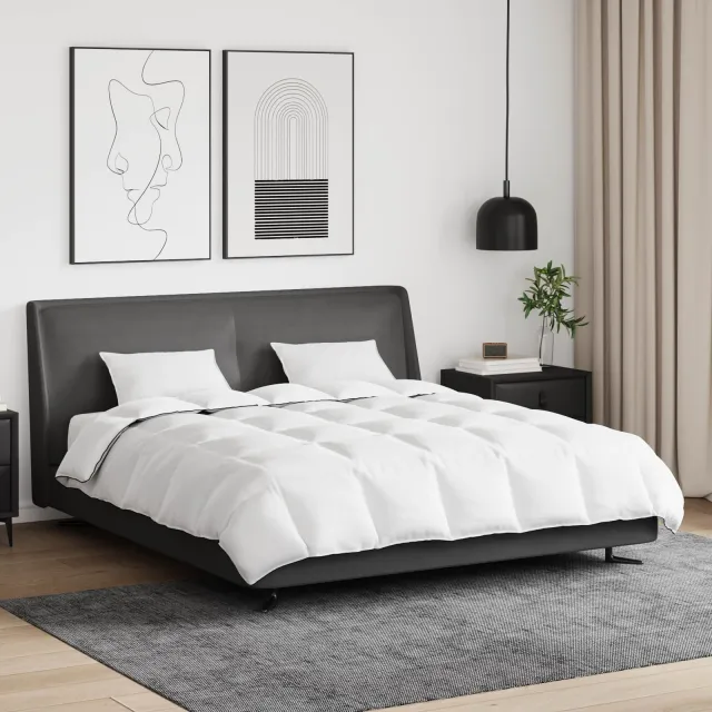 vidaXL Winter Dekbed met kussen 3 st Wit Donsveertjes