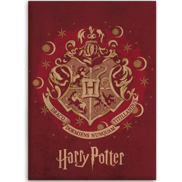 Harry Potter Fleece - Plaid - 110x140 cm - Rood
