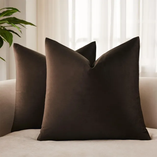 Famanu Set van 2 fluwelen sierkussenhoezen van 60 x 60 cm, decoratieve vierkante kussenslopen met onzichtbare rits voor woonkamer en slaapbank, luxe uitstraling voegt warmte en gezelligheid toe aan je interieur wit