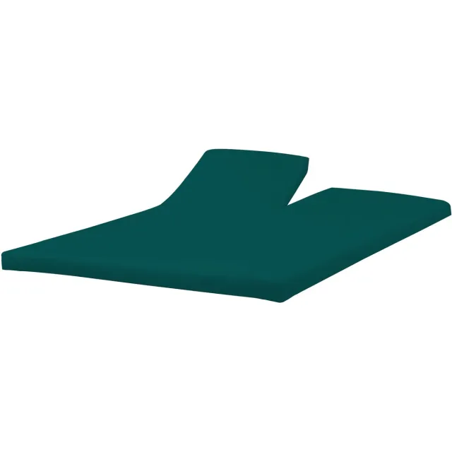 Princessmatrassen Splittopper Hoeslaken 160x200 cm - 100% Katoen Jersey - Zacht - Rondom elastiek - Hoekhoogte 15 cm - Groen - Ademend, Wasbaar - Anti-Kreuk & Oeko-Tex Gecertificeerd