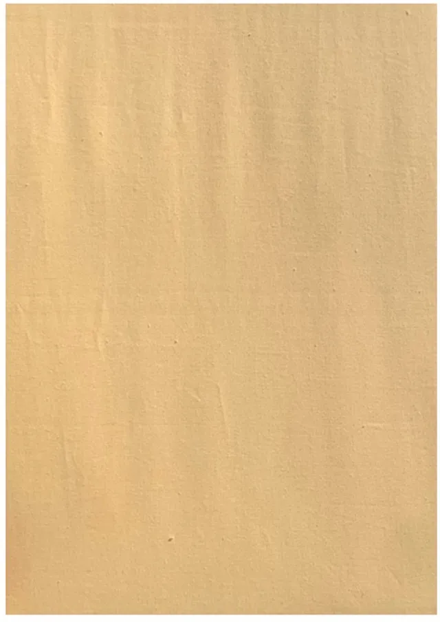 Acanthus Kussenslopen Perkal Katoen - 60x70 cm - 2 Stuks - Geel