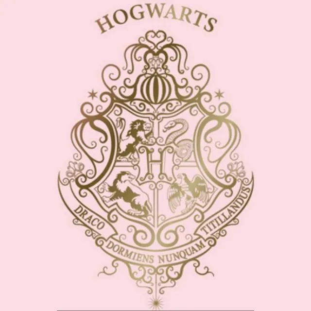 Harry Potter Fleecedeken - Plaid - Deken - Roze - 100x140cm