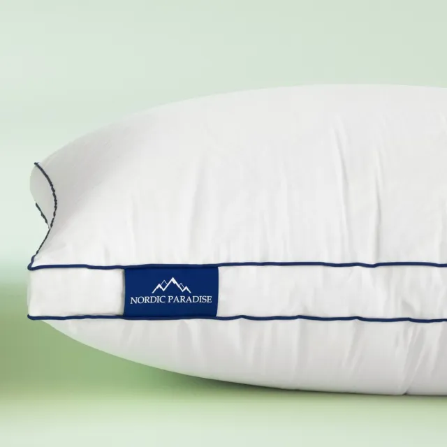 Nordic Paradise Deluxe Donzen Hoofdkussen - Zacht - Dons kussen - Anti Allergie Kussensloop - 60x60cm Wit