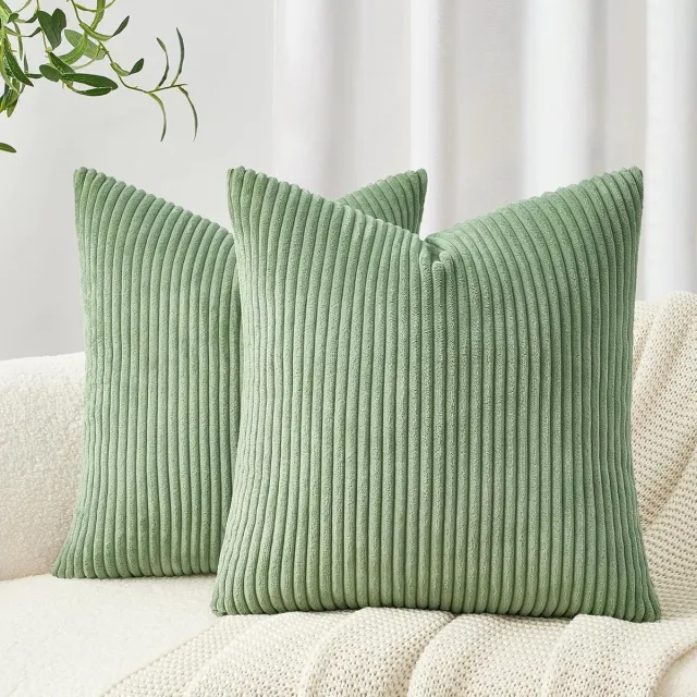 Famanu Set van 2 kussenhoezen 40 x 40 cm van corduroy, groen, decoratief en onderhoudsvriendelijk, ideaal voor kinderen en huisdieren Transparant
