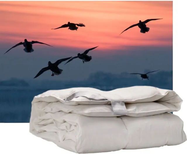 iSleep Donzen Enkel Dekbed - 60% Dons - Eendendons en Eendenveren - Tweepersoons - 200x200 cm Wit