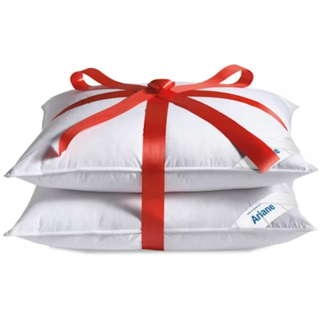 altijdgoedslapen Hoofdkussen set (2) Ariane 15% dons extra dik gevuld 1400 gram 60x70 cm wit