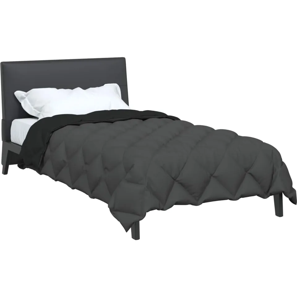 vidaXL Winter Dekbed 155 x 220 cm 450 gsm Microvezel zwart, foto 2