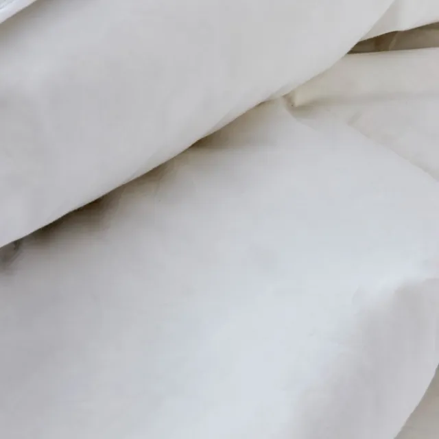 Linolux Winterdekbed Nature Arctica 100% Ganzendons 240x220 Winter White