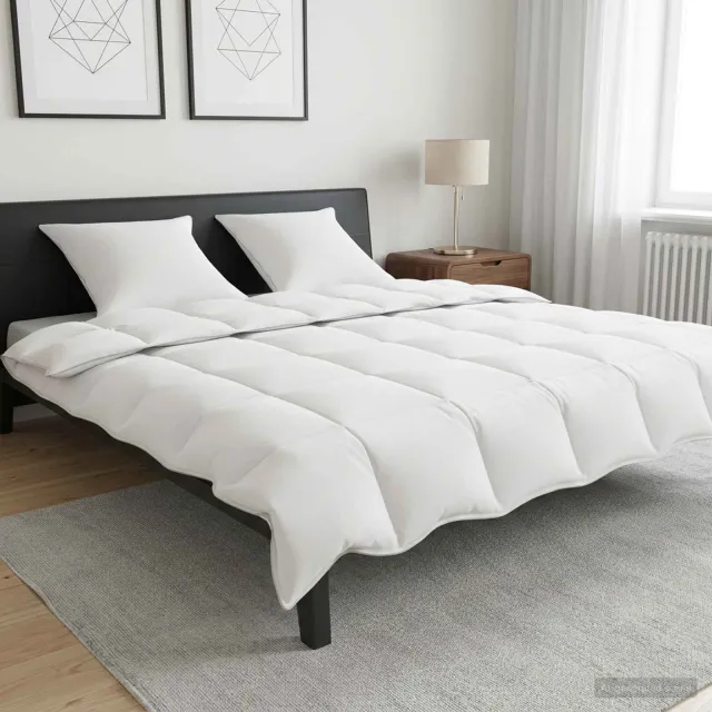 vidaXL Dekbedset 3 st 200 x 220 cm Alle seizoenen 250 gsm dekbed Wit