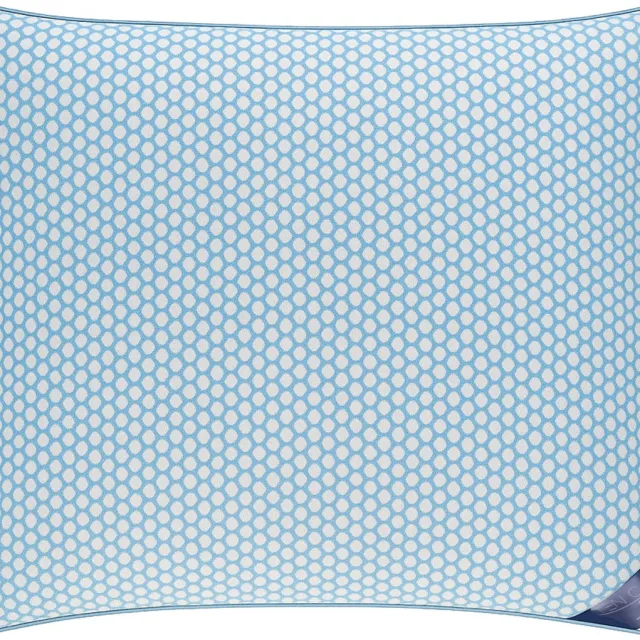Ten Cate Hoofdkussen - Kussens - Hoofdkussen Nekklachten - Geschikt voor rug, zij- en buikslapers- Airpillow - Memory Foam - Traagschuim - 60x70 cm wit/blauw