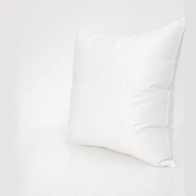 Plutex Hoofdkussen 60x60 - 90% eendendons - Zacht wit