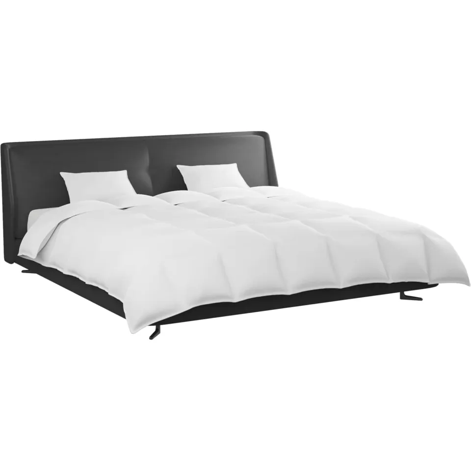 vidaXL Dekbed Set met kussen 3 st Wit Donsveertjes, foto 3