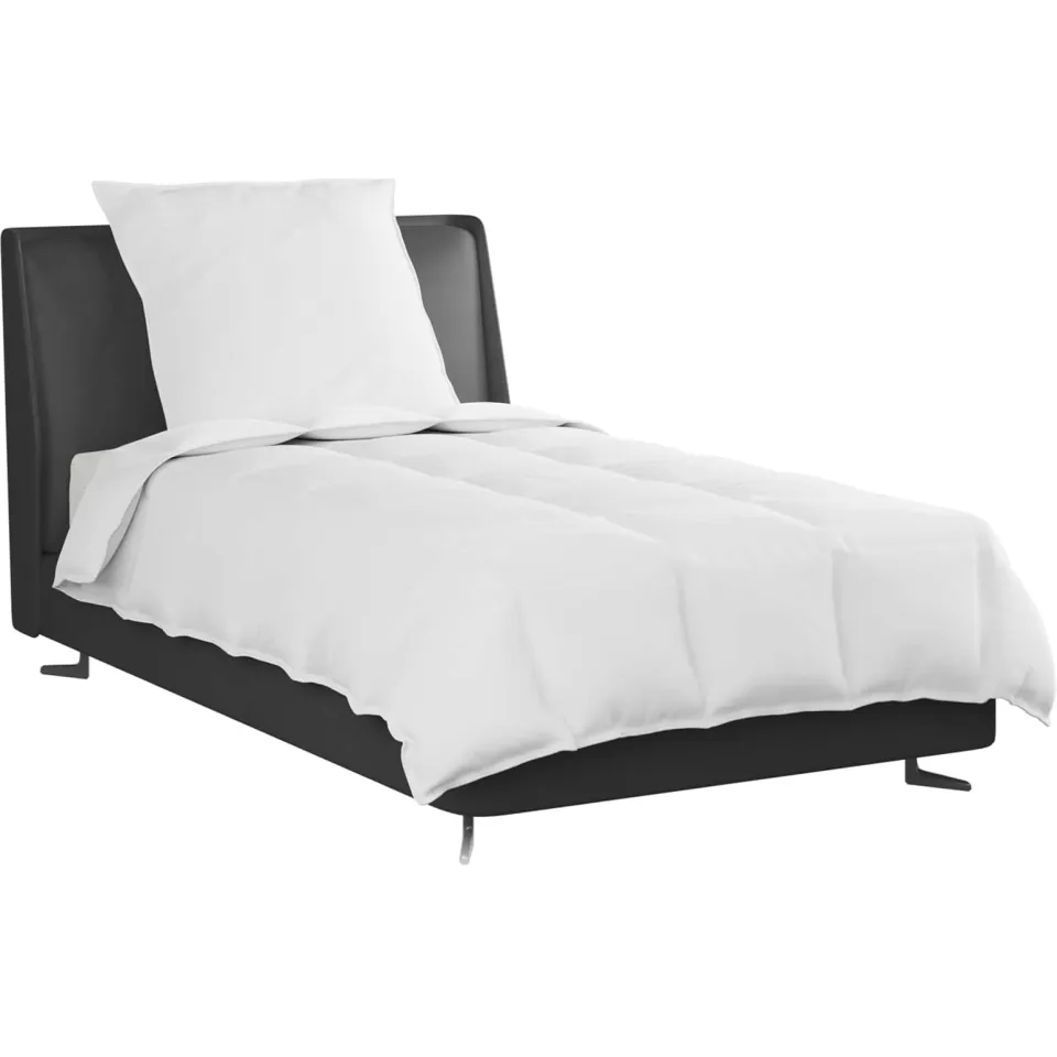 vidaXL 2-in-1 Dekbed met kussen 2 st Wit Donsveertjes, foto 2