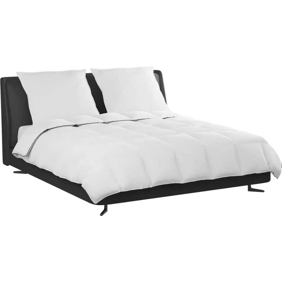 vidaXL Winter Dekbed met kussen 3 st Wit Donsveertjes, foto 2