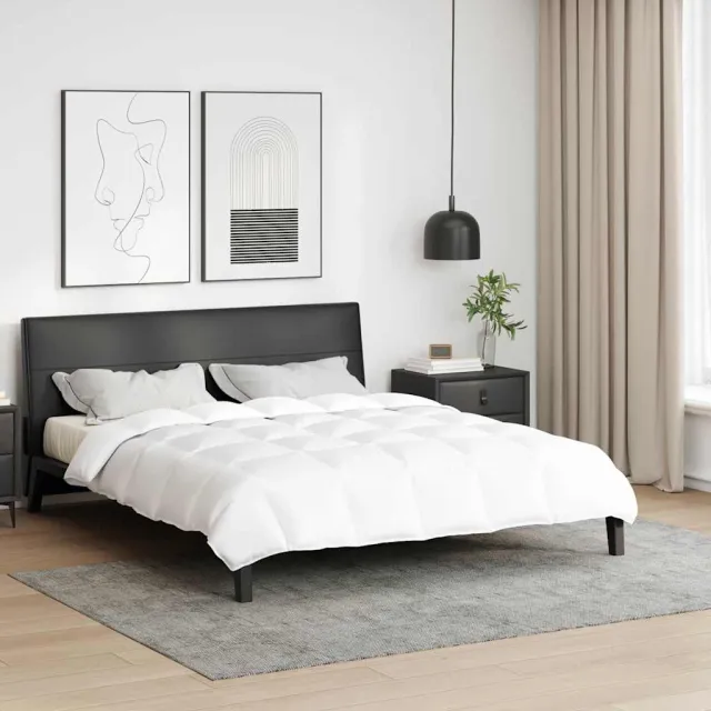 vidaXL Dekbed 260 x 220 cm Lente, Najaar/Herfst Veren Wit Ademend
