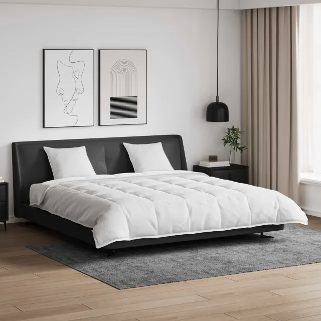 vidaXL Dekbed Set met kussen 3 st Wit Donsveertjes