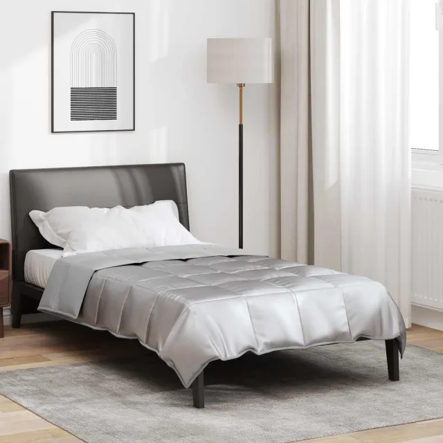vidaXL Vol jaar dekbed 155 x 220 cm 300 gsm Satijn en microvezel Zilver