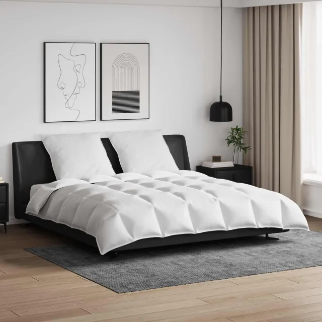 vidaXL Dekbed Set met kussen 3 st Wit Donsveertjes, foto 2