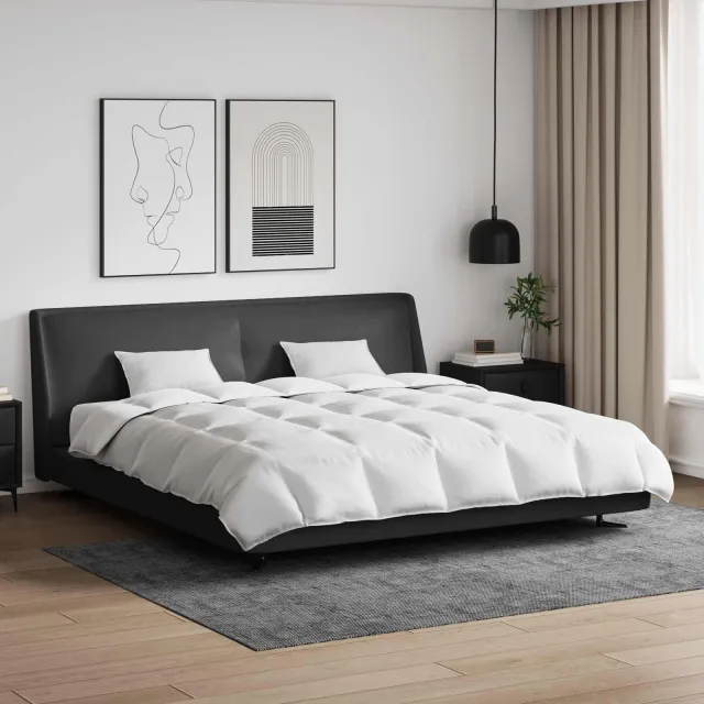 vidaXL Dekbed Set met kussen 3 st Wit Donsveertjes